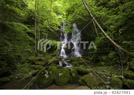 双竜の滝（兵庫県朝来市山東町） 92827091