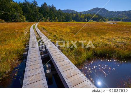 福島県の尾瀬沼東岸の浅湖(あざみ)湿原と小川を見る(檜高山,長蔵小屋方面) 92827659