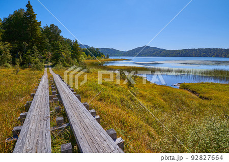 福島県の尾瀬沼北岸の沼尻平とオンダシの間から南側(尾瀬沼)を見る 92827664