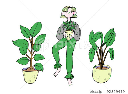 観葉植物 観葉植物 92829459