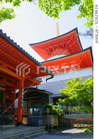 中山寺/阿弥陀堂と大願塔(兵庫県宝塚市) 中山寺/阿弥陀堂と大願塔(兵庫県宝塚市) 92829639