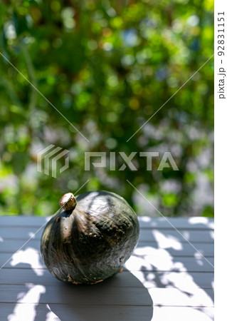 夏野菜 物撮り 南瓜 夏野菜 物撮り 南瓜 92831151