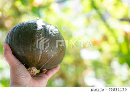 夏野菜　物撮り　南瓜 92831159
