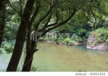 夏の立久恵峡　島根 92831263