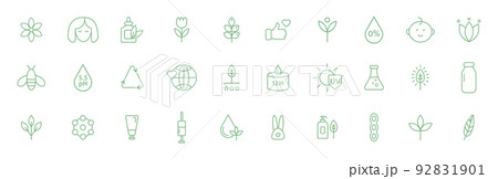 Natural, organic cosmetic line icons. Vegan food. Skincare pictogram. Product free allergen label. GMO free emblem. Biodegradable sticker. Healthy eating. Handmade ecology symbol. Vector illustration 92831901