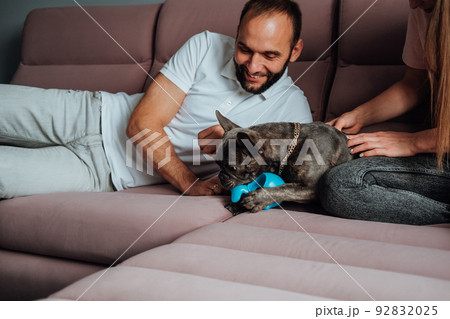 Cheerful Man and Woman Having Fun with Their Pet, Small French Bulldog Playing with Toy on the Pink Sofa 92832025