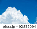 「積乱雲」in 富士見パノラマリゾート（長野県諏訪郡） 92832094