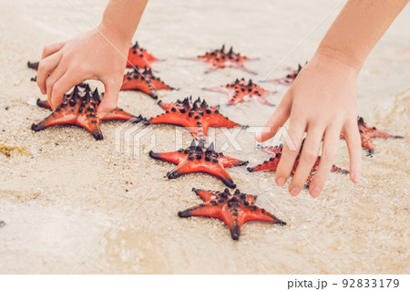 Red starfish in the hands, next to the sea Red starfish in the hands, next to the sea 92833179