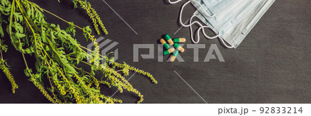 Ambrosia, medical mask, allergy tablets. Allergy to ambrosia concept. BANNER, long format Ambrosia, medical mask, allergy tablets. Allergy to ambrosia concept. BANNER, long format 92833214