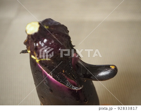 人の顔のような、鼻がある茄子 92833817