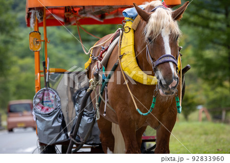 榛名湖の湖畔 観光馬車 榛名湖の湖畔 観光馬車 92833960