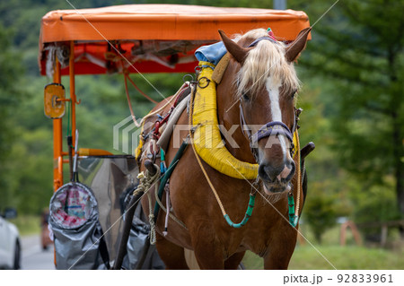 榛名湖の湖畔 観光馬車 榛名湖の湖畔 観光馬車 92833961
