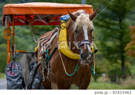 榛名湖の湖畔 観光馬車 榛名湖の湖畔 観光馬車 92833962