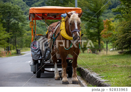 榛名湖の湖畔 観光馬車 榛名湖の湖畔 観光馬車 92833963
