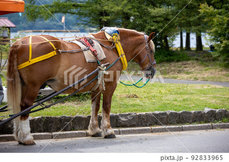 榛名湖の湖畔　観光馬車 92833965