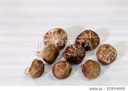 シイタケ 92834668