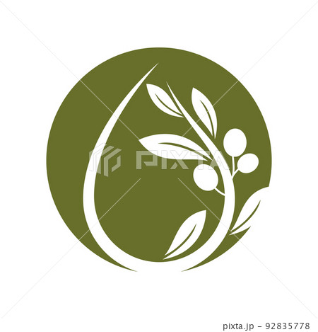 Olive illustration vector 92835778