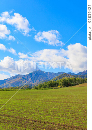 青空と芦別岳「秋の北海道」 青空と芦別岳「秋の北海道」 92836422