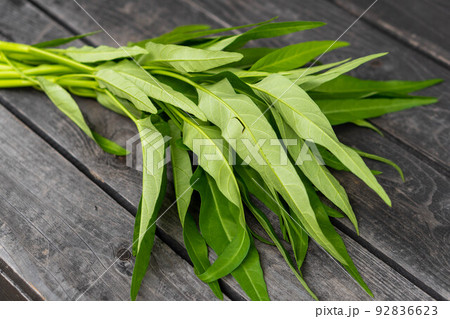 夏野菜　空芯菜（くうしんさい） 92836623