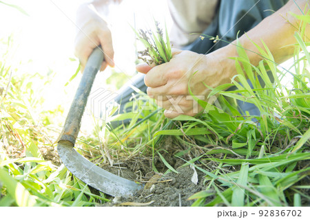 草刈りをする男性 92836702