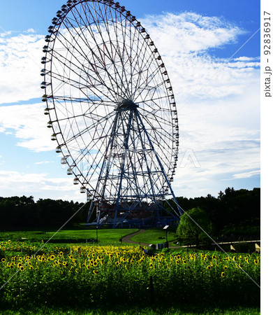 夏空の風景 夏空の風景 92836917
