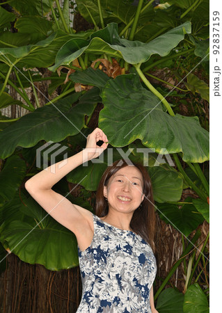 咲くやこの花館にて 咲くやこの花館にて 92837159