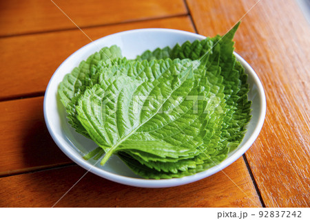 エゴマの葉 92837242