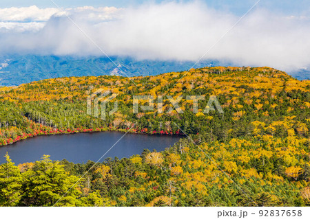 長野の人気紅葉名所 鮮やかに色付く白駒の池 高見石からの眺望 長野の人気紅葉名所 鮮やかに色付く白駒の池 高見石からの眺望 92837658