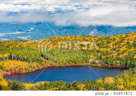 長野の人気紅葉名所 鮮やかに色付く白駒の池 高見石からの眺望 長野の人気紅葉名所 鮮やかに色付く白駒の池 高見石からの眺望 92837872