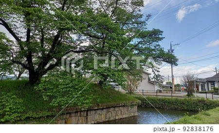 続日本100名城 龍岡城 大手門と黒門の間の稜堡 続日本100名城 龍岡城 大手門と黒門の間の稜堡 92838176