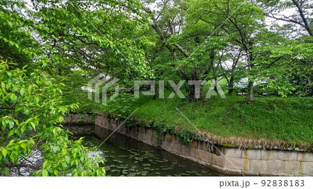 続日本100名城 龍岡城 大手門の右側の稜堡 続日本100名城 龍岡城 大手門の右側の稜堡 92838183
