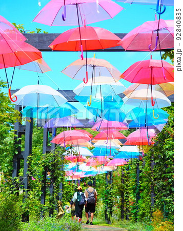北海道の絶景 えこりん村のアンブレラスカイ 北海道の絶景 えこりん村のアンブレラスカイ 92840835