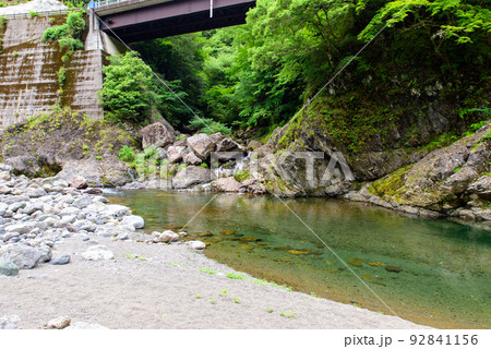 徳島県那賀町の坂州木頭川、清流 徳島県那賀町の坂州木頭川、清流 92841156