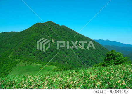 中蒜山から上蒜山へ向かう登山道から見た上蒜山1　岡山県真庭市 92841198