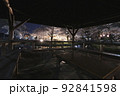 若泉公園の夜桜 92841598