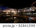 若泉公園の夜桜 92841599