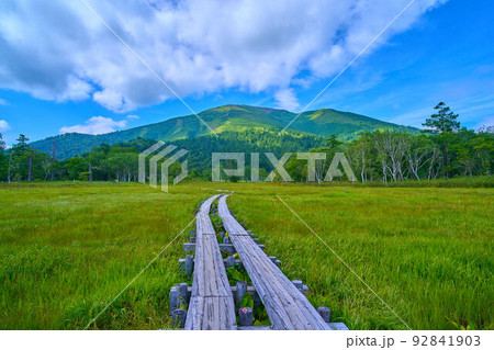 夏の尾瀬 上田代付近から至仏山方面眺望 夏の尾瀬 上田代付近から至仏山方面眺望 92841903