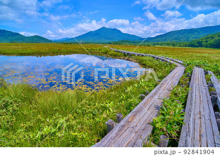 夏の尾瀬 中田代付近から燧ヶ岳方面眺望 夏の尾瀬 中田代付近から燧ヶ岳方面眺望 92841904
