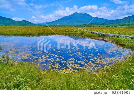 夏の尾瀬 中田代付近から燧ヶ岳方面眺望 夏の尾瀬 中田代付近から燧ヶ岳方面眺望 92841905