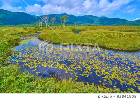 夏の尾瀬 中田代付近から北側眺望(景鶴山,与作岳など) 92841908