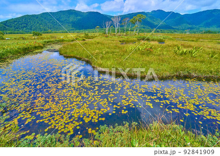 夏の尾瀬 中田代付近から北側眺望(池塘,八海山,景鶴山など) 夏の尾瀬 中田代付近から北側眺望(池塘,八海山,景鶴山など) 92841909