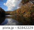 神奈川県秦野市　震生湖紅葉3 92842229