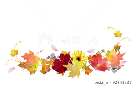 秋の花と紅葉のデコレーション 水彩イラストのイラスト素材
