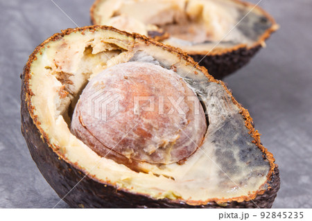 Inedible avocado with mold. Dark background. Unhealthy food Inedible avocado with mold. Dark background. Unhealthy food 92845235