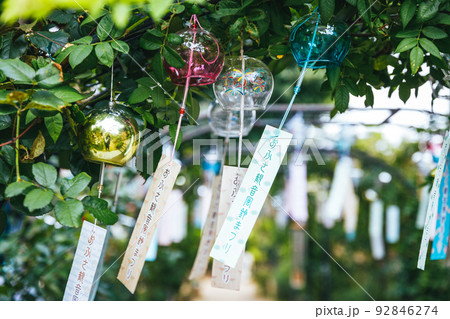 おふさ観音の風鈴祭り おふさ観音の風鈴祭り 92846274