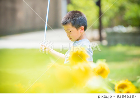 滋賀県蒲生郡日野町の滋賀農業公園ブルーメの丘咲き誇る中で撮影した少年・少女 92846387