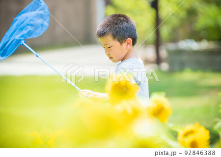 滋賀県蒲生郡日野町の滋賀農業公園ブルーメの丘咲き誇る中で撮影した少年・少女 滋賀県蒲生郡日野町の滋賀農業公園ブルーメの丘咲き誇る中で撮影した少年・少女 92846388