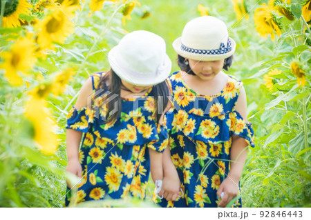 滋賀県蒲生郡日野町の滋賀農業公園ブルーメの丘咲き誇る中で撮影した少年・少女 92846443