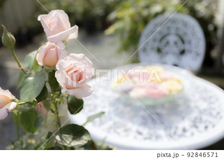 初夏のガーデンフラワー 92846571