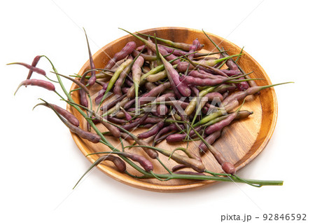 紫大根の実、鞘大根 紫大根の実、鞘大根 92846592